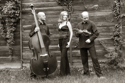 Krakow Acoustic Trio